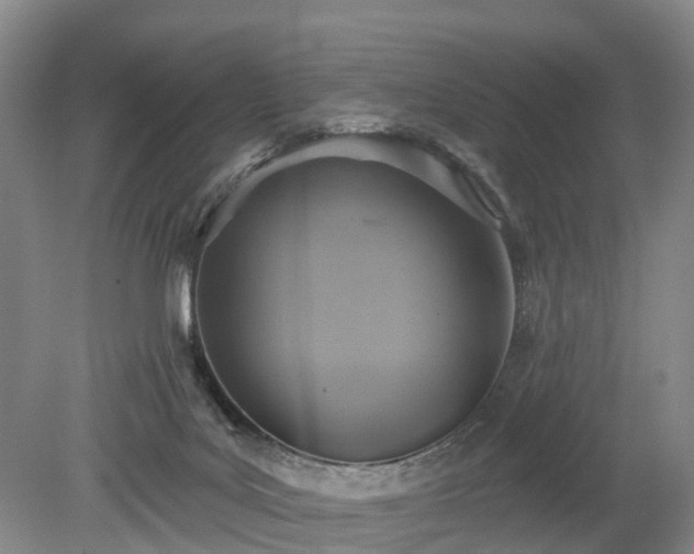 X0000078890027200611201448