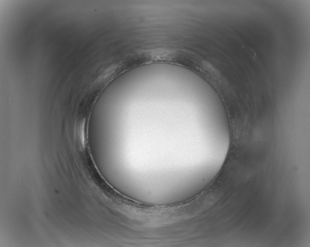 X0000078890028200611201448