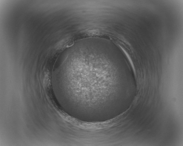 X0000078890029200611201448