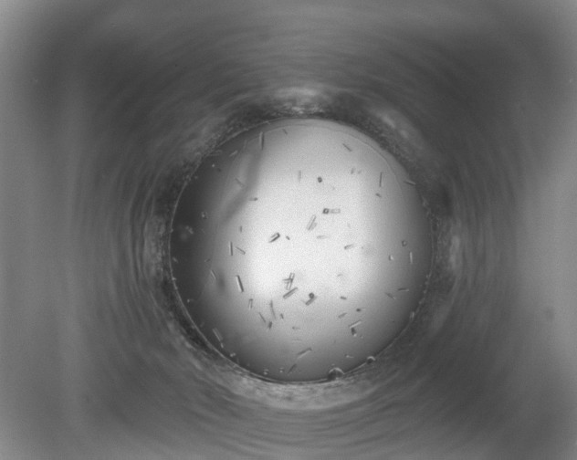 X0000078890030200611201448