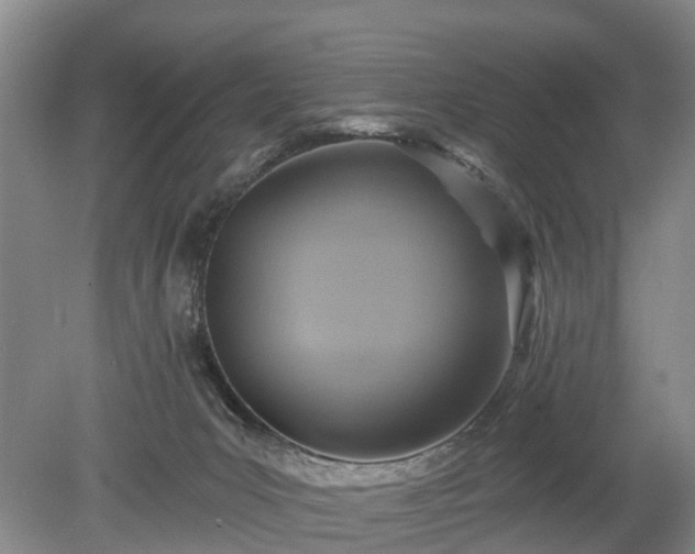 X0000078890031200611201448