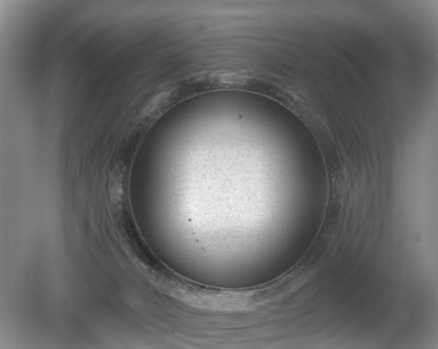 X0000078890032200611201448