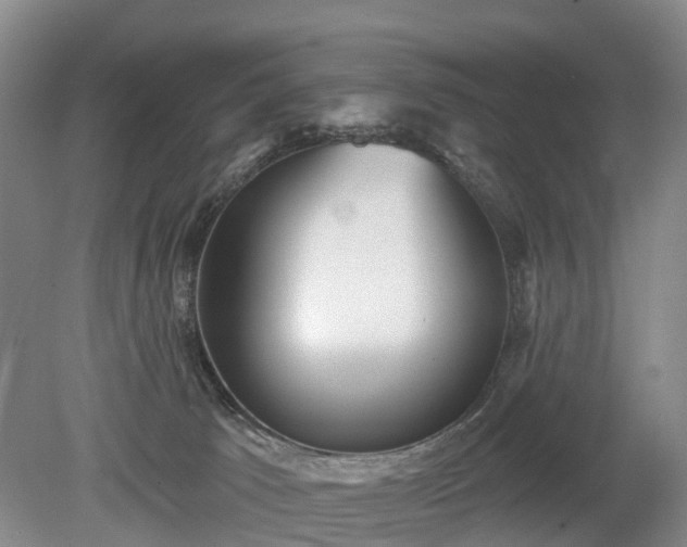 X0000078890033200611201448