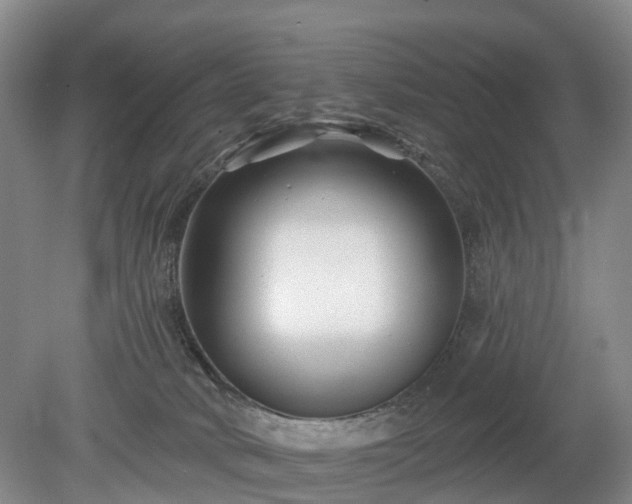 X0000078890034200611201448