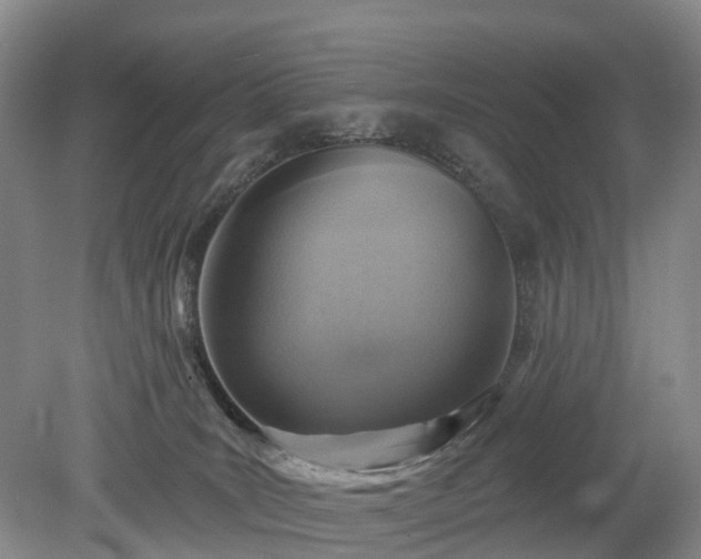 X0000078890035200611201448