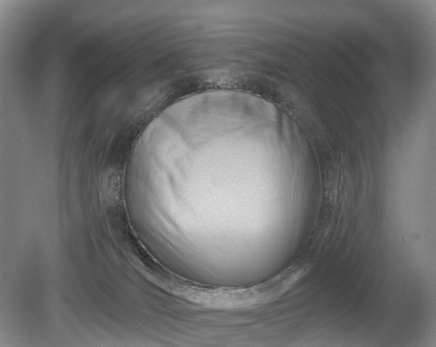 X0000078890036200611201448