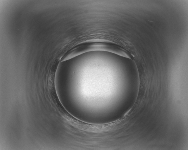 X0000078890037200611201448