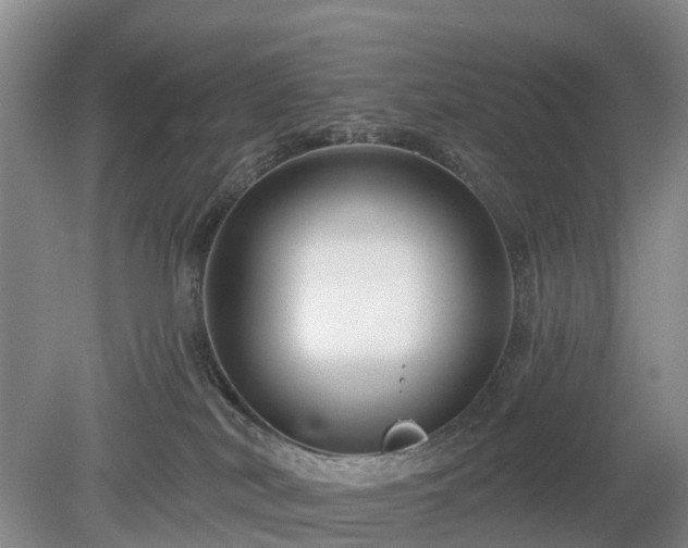 X0000078890038200611201448