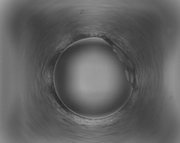 X0000078890039200611201448