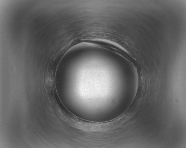 X0000078890040200611201448