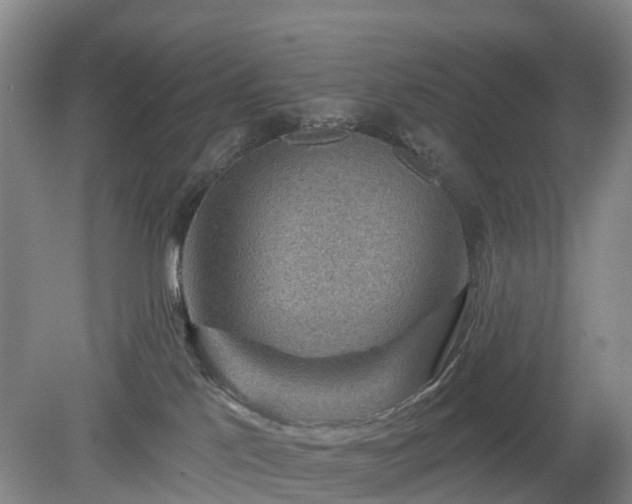 X0000078890041200611201448