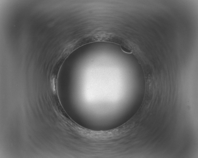 X0000078890042200611201448