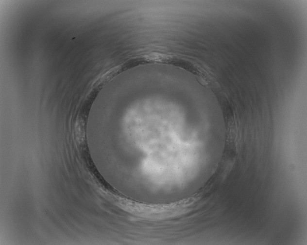 X0000078890043200611201448