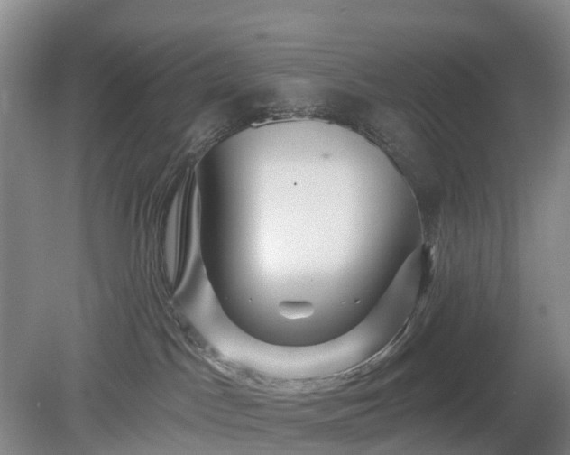 X0000078890045200611201448