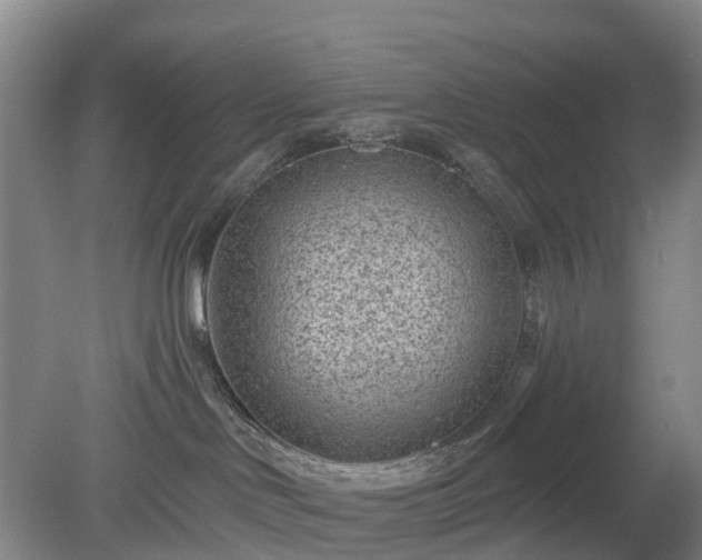 X0000078890046200611201448