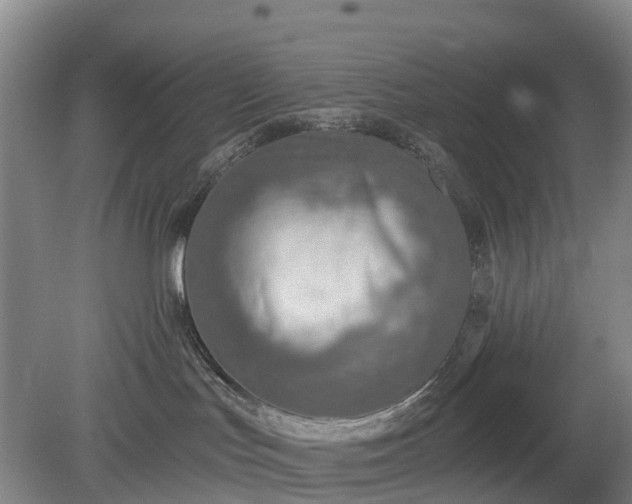 X0000078890047200611201448