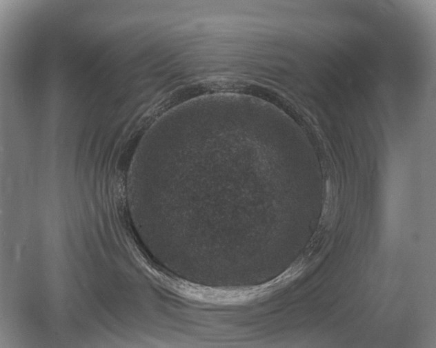 X0000078890048200611201448