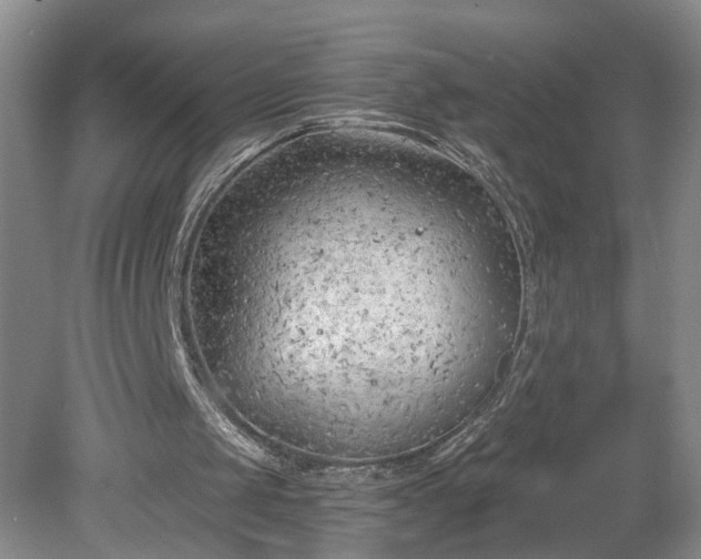 X0000078890049200611201447