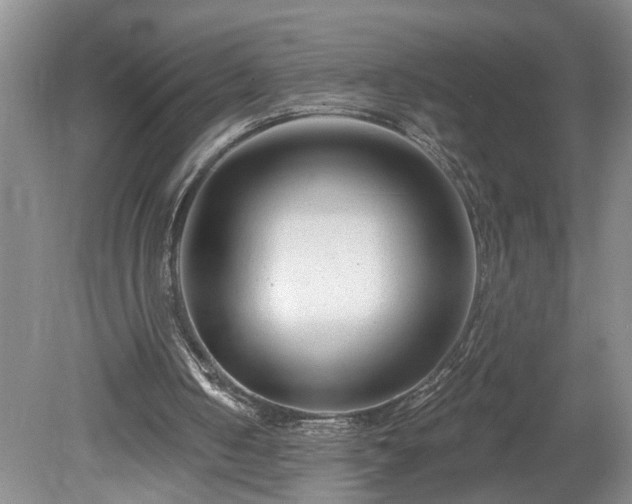 X0000078890050200611201447