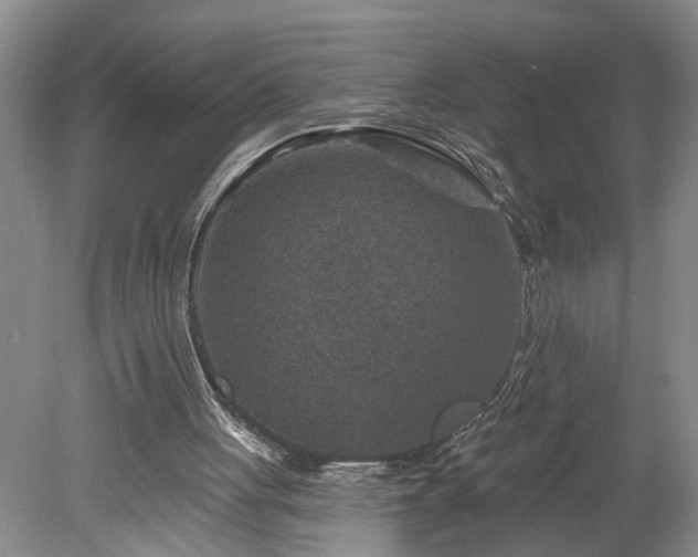 X0000078890051200611201447