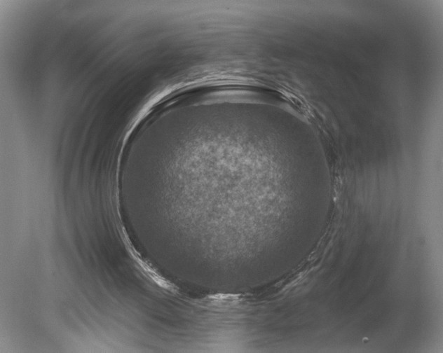 X0000078890052200611201447