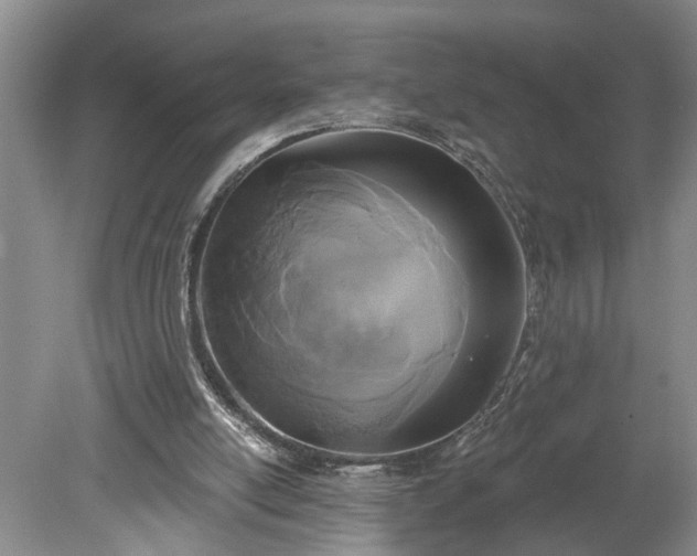 X0000078890054200611201447