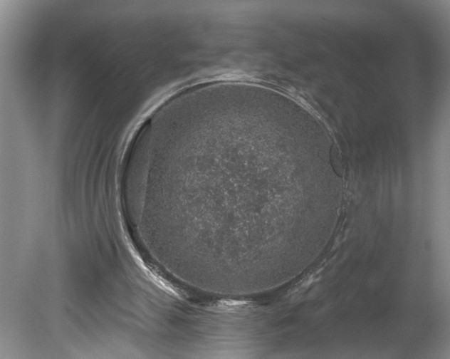 X0000078890055200611201447