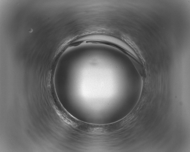 X0000078890058200611201447