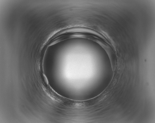 X0000078890060200611201447