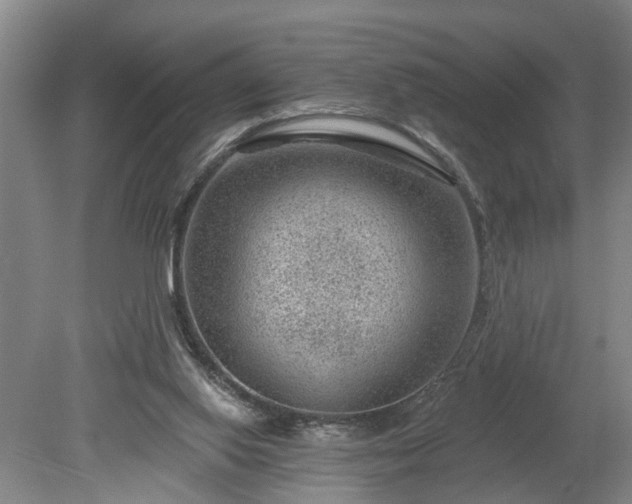 X0000078890062200611201447