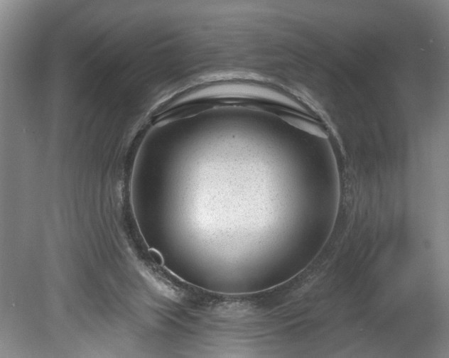 X0000078890063200611201447