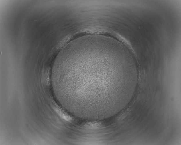 X0000078890065200611201447