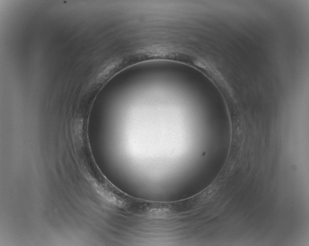 X0000078890066200611201447