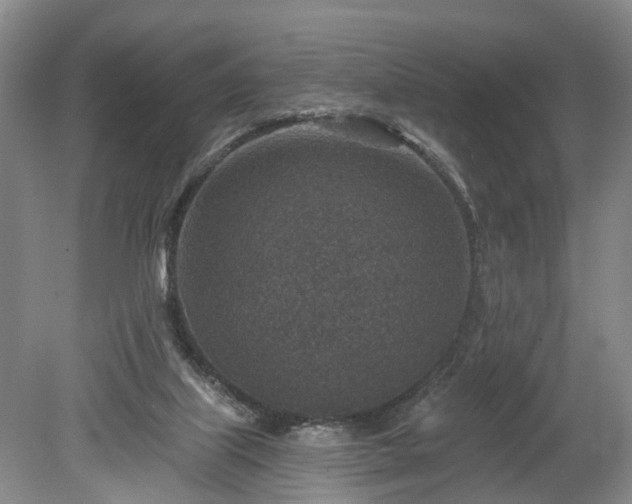 X0000078890067200611201447