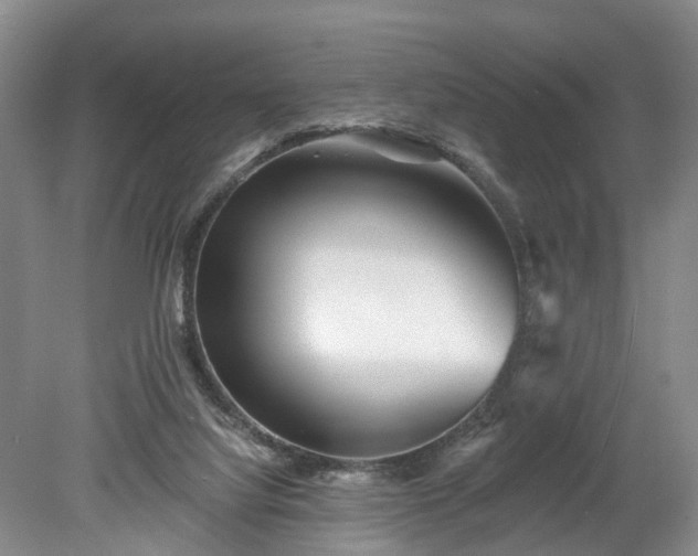 X0000078890068200611201447