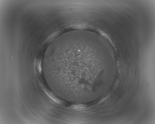 X0000078890069200611201447