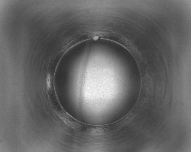 X0000078890075200611201447