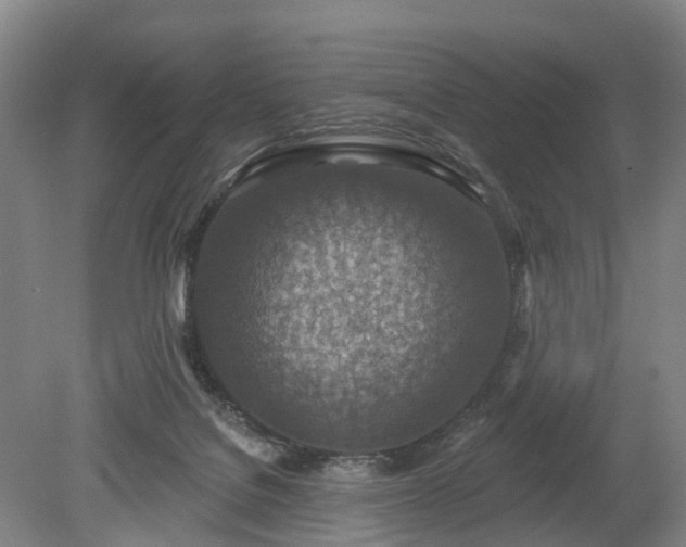 X0000078890076200611201447