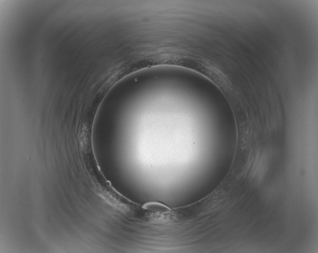 X0000078890077200611201447