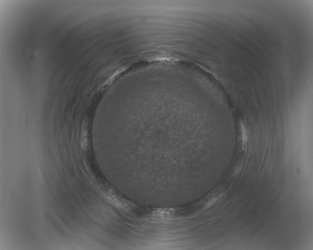 X0000078890080200611201447