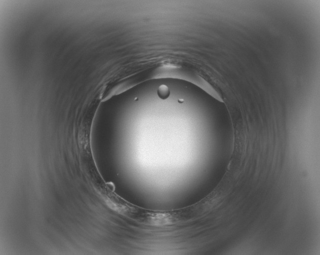 X0000078890091200611201448