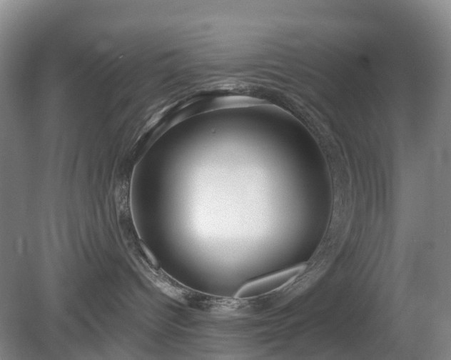 X0000078890096200611201448