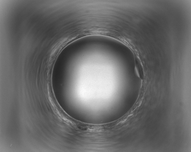 X0000078890097200611201447