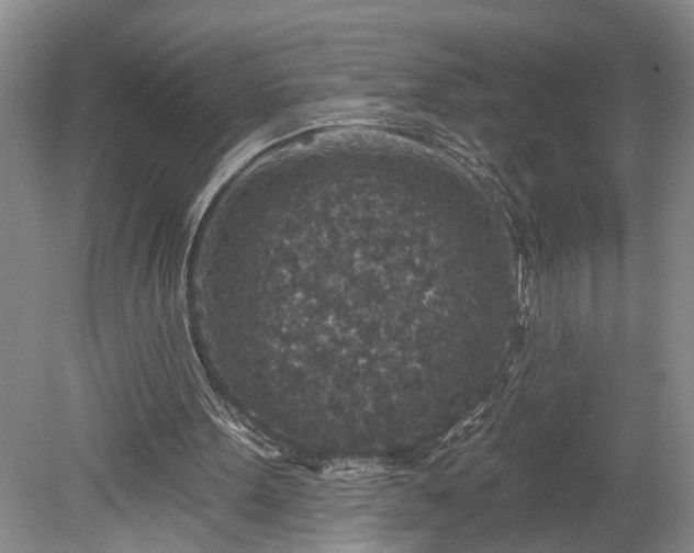 X0000078890099200611201447