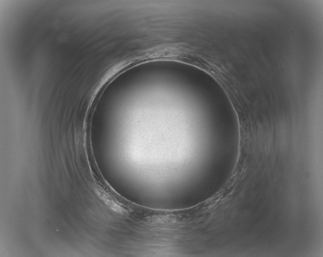 X0000078890100200611201447