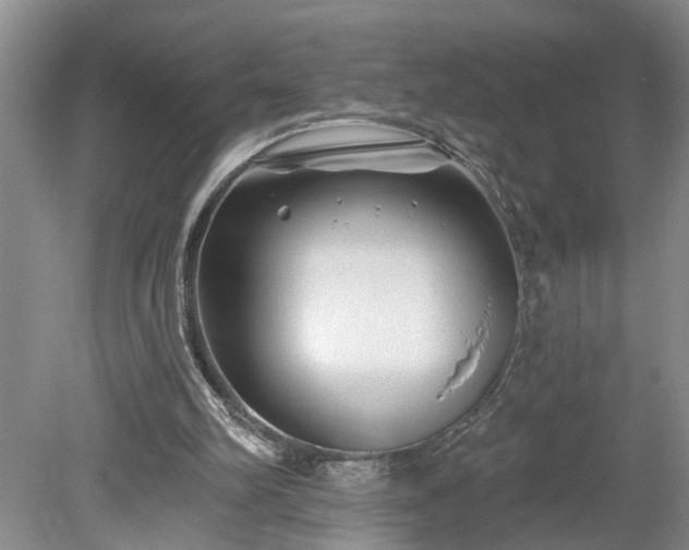 X0000078890102200611201447