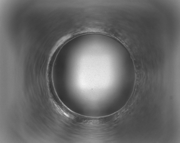 X0000078890104200611201447