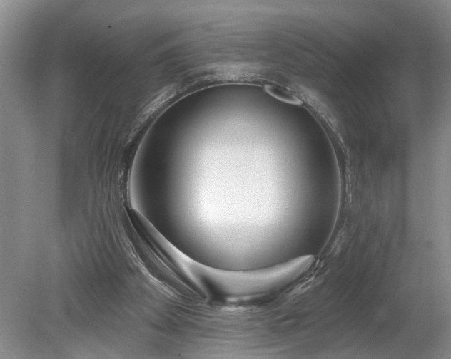 X0000078890105200611201447