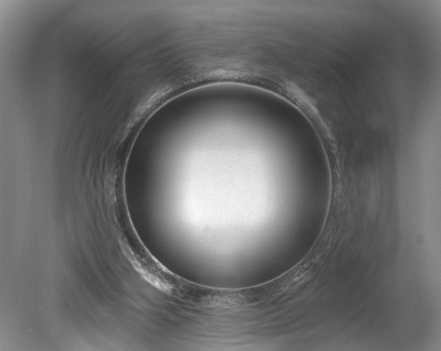 X0000078890106200611201447