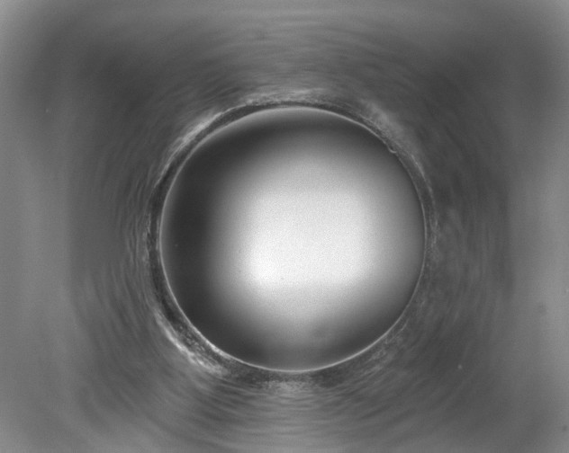 X0000078890107200611201447